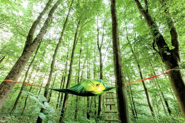 Boomtent overnachting "Dromen in de bomen"
Eifelavonturen, Berlingen