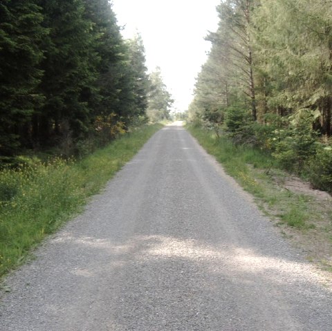 Römerstraße (2), © Touristik GmbH Gerolsteiner Land