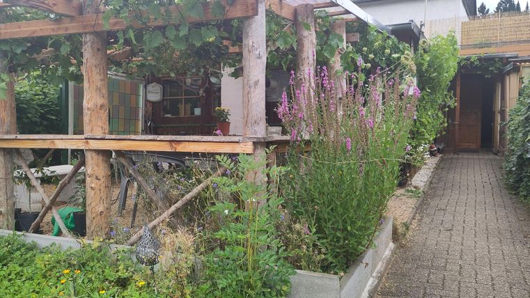 Ein gemütlicher Garten mit einem Holzbau, der von Pflanzen umgeben ist. Ein gepflasterter Weg führt zum Eingang des Hauses.