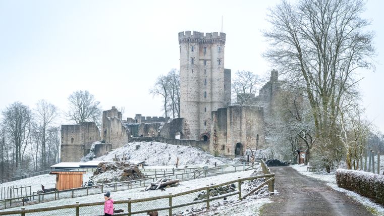 Verschneites Parkgelände mit Wegen und eingezäunten Wiesen des Adler- und Wolfspark Kasselburg in Pelm. Die Kasselburg steht zentral im Park und Besucher laufen durch das Gelände.