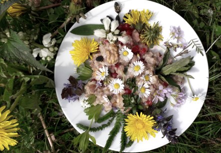 Wildkräuter Gericht, © Andrea Häfele