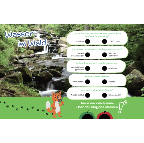 Information sign ‘Water in the forest’ with a quiz on water knowledge through drop-in holes for either/or questions.