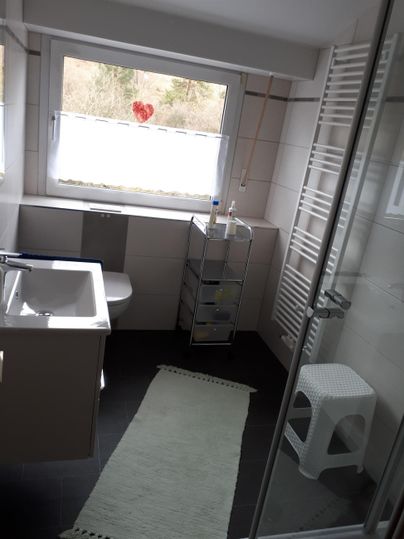 Ein modernes Badezimmer mit einer Dusche, einem Waschbecken und einem Fenster. Die Wände sind hell und es gibt einen kleinen Teppich auf dem Boden.