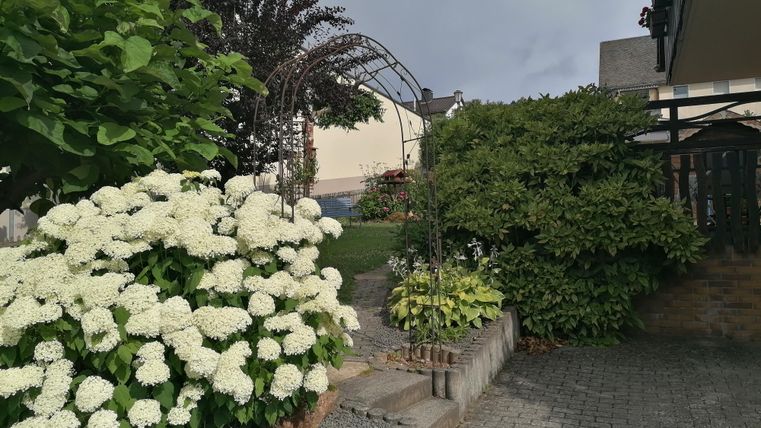 Ein Garten mit weißen Hortensien und grünen Sträuchern. Im Hintergrund ist ein leicht bewölkter Himmel sichtbar.
