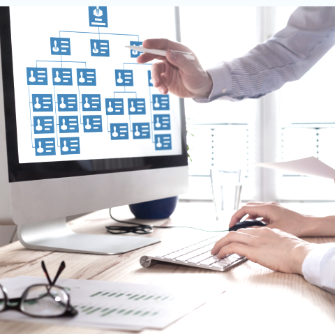 Organigramm