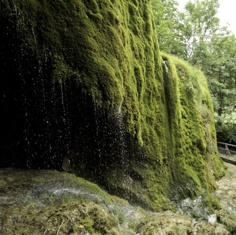 Kalkeifel-Radweg: Der Nohner Wasserfall lohnt einen Zwischenstopp, © Rheinland-Pfalz Tourismus GmbH/D. Ketz