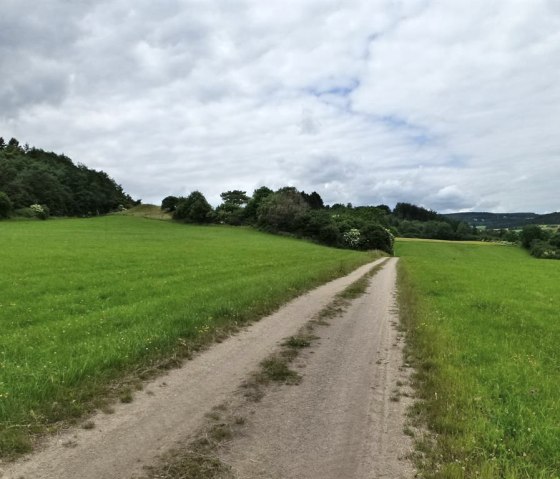 Wanderwege, &copy; Gertrud Wieser