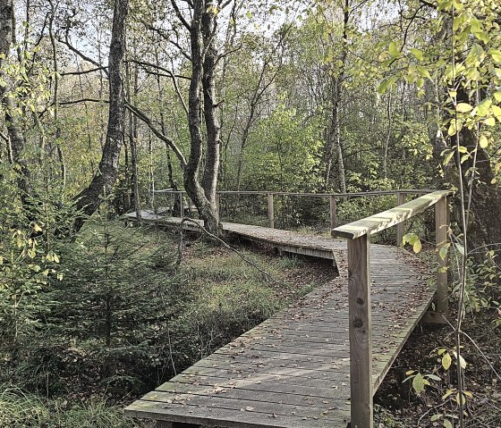 A wooden walkway winds its way through an autumnal forest with yellow and green leaves., © Touristik GmbH Gerolsteiner Land