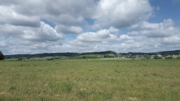 Richtung Aueler Drees, &copy; Touristik GmbH Gerolsteiner Land