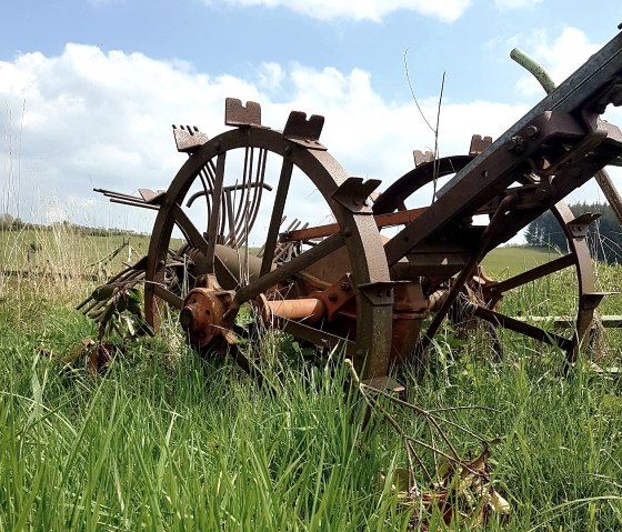 Historisches Mähwerkzeug auf einer Wiese