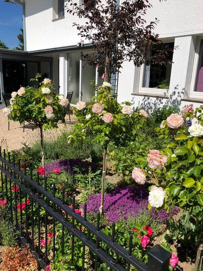 Ein schöner Garten mit blühenden Rosenbäumen und bunten Blumenbeeten. Im Hintergrund ist ein modernes Haus zu sehen.