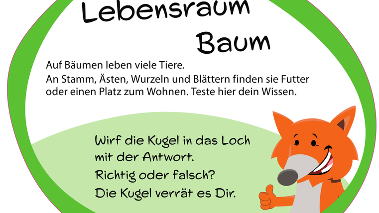 Informationsschild zum "Lebensraum Baum" mit Fuchs-Maskottchen.