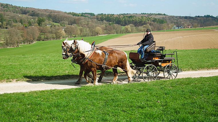 Ein Mann fährt mit einer Kutsche, die von zwei Pferden gezogen wird, auf einem Feldweg.