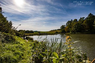 Le lac de barrage de Gerolstein s'étend devant nous, entouré de forêts et de prairies. Le ciel est bleu et le soleil brille à travers quelques nuages.