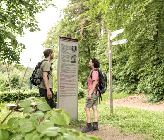 Weisshauswald - destination of the Eifelsteig trail, © Eifel Tourismus GmbH, D. Ketz