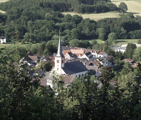 Blick auf Stadtkyll mit einer Kirche im Zentrum, umgeben von Häusern und grüner Landschaft. Im Vordergrund sind Büsche zu sehen., © OG Stadtkyll