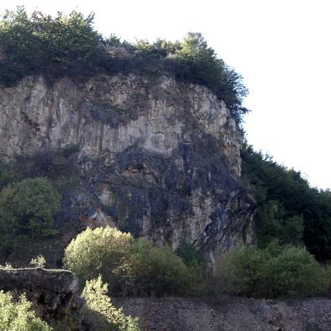 Weinberg (1), &copy; Schmitz