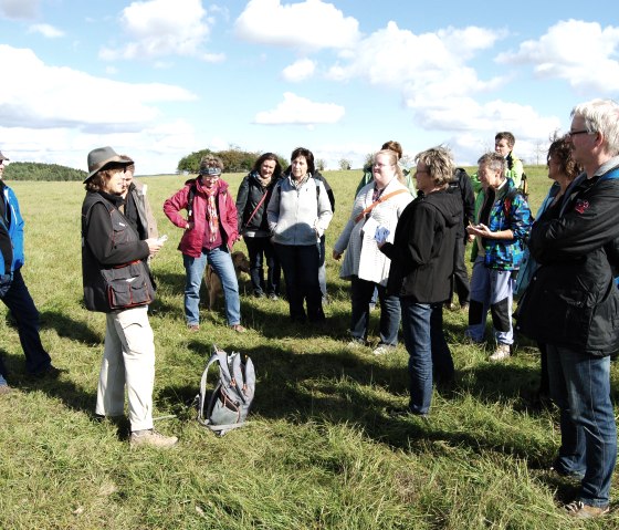 Gruppe auf Eifelkrimi-Wanderweg, &copy; Nebel