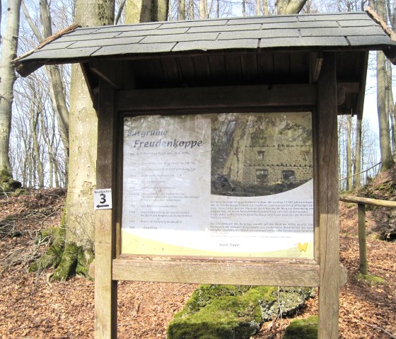 Informatiebord over de kasteelruïne Freudenkoppe in het bos, omgeven door bomen en gebladerte. Het bord bevat historische informatie over de ruïnes., © Touristik GmbH Gerolsteiner Land, Ute Klinkhammer