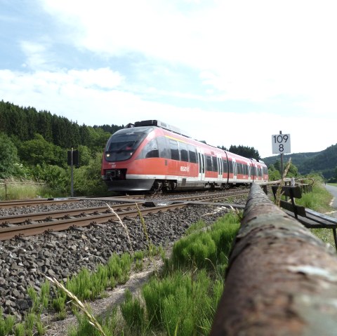 Een regionale spoorweg die over rails door groene bossen loopt.
