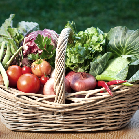 Gem&uuml;sekorb, &copy; canva