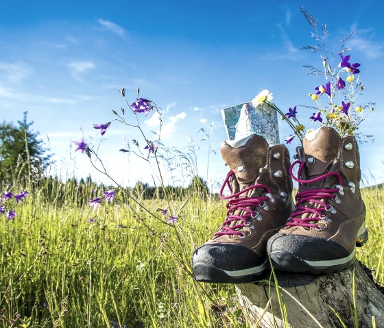 Wanderschuhe, &copy; bietau