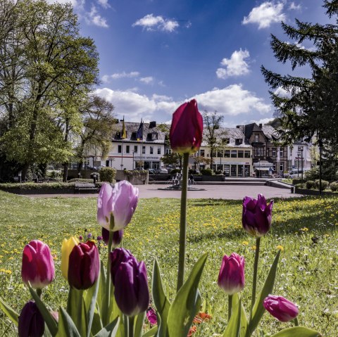 Meadow covered with flowers, with colourful tulips in focus. Behind it, a square with a fountain in the middle and commercial buildings behind.