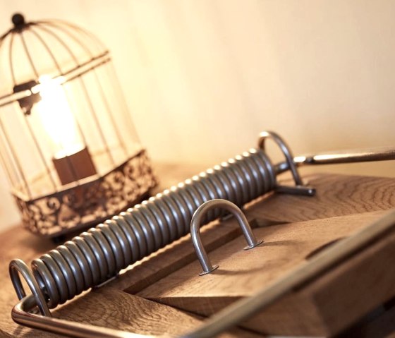 M&auml;usezimmer Mausefalle (3)