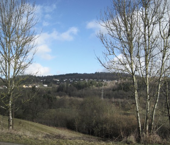 Kale bomen voor een heuvelachtig landschap met verspreide huizen en een blauwe lucht., &copy; Touristik GmbH Gerolsteiner Land, Ute Klinkhammer