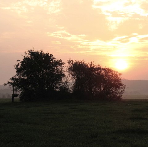 Sunset over a meadow with trees in the foreground. The sky is colored orange and pink, creating a calm evening mood., &copy; Touristik GmbH Gerolsteiner Land, Ute Klinkhammer