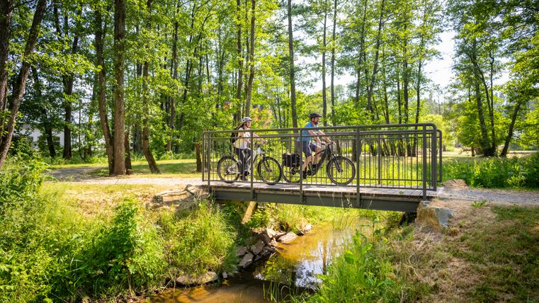 Zwei Personen fahren mit Fahrrädern über eine Brücke im Wald.