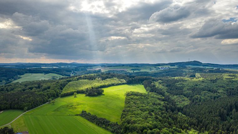 Landschaft der Vulkaneifel mit Wäldern und Feldern unter bewölktem Himmel.