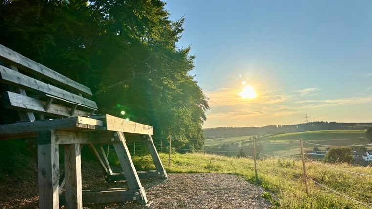 Eine Holzbank steht auf einem Hügel mit Aussicht auf die Landschaft. Die Sonne scheint am Horizont und der Himmel ist klar.
