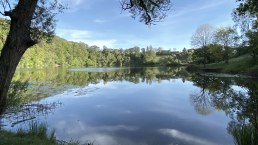 Blick auf das Ulmener Maar, © GesundLand Vulkaneifel GmbH, Carina Wagner