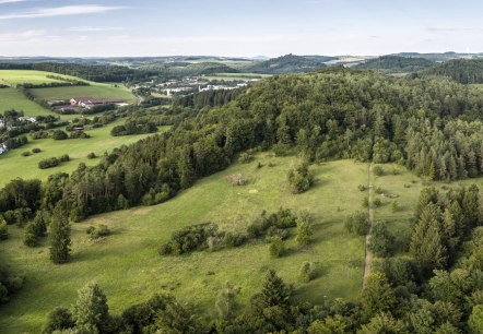 Bird's eye view of a hilly meadow and forest landscape in the Munterley Gerolstein area with residential buildings on the left.