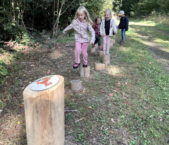 Vier Kinder hüpfen auf Baumstümpfen im Ferolsteiner Stadtwald. Sie sind fröhlich und konzentriert. Der Weg ist von Bäumen gesäumt., © Touristik GmbH Gerolsteiner Land