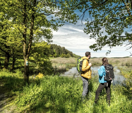 Natuurreservaat M&uuml;rmes op het Vulkaanpad, &copy; Eifel Tourismus GmbH, D. Ketz
