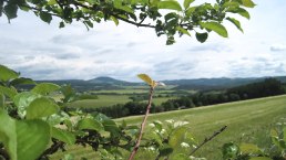 Ausblick Leudersdorf, © Touristik GmbH Gerolsteiner Land, Ute Klinkhammer