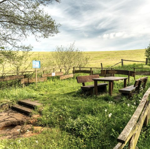 Picknickplatz am Steffelner Drees, © Eifel Tourismus GmbH, Dominik Ketz