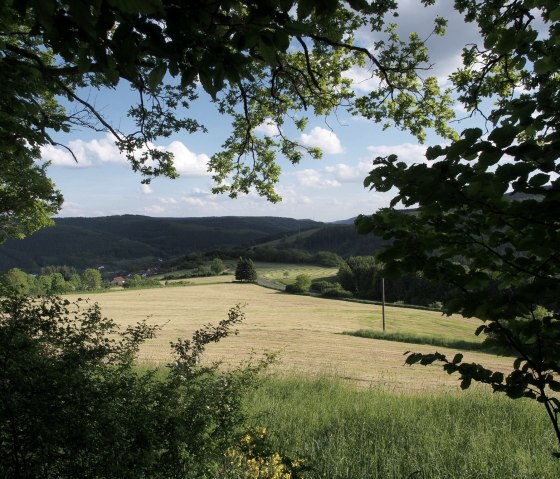 Blick aus einem Wald auf eine weite Wiese, umrahmt von grünen Blättern. Im Hintergrund sind Hügel und ein blauer Himmel mit Wolken zu sehen., © Touristik GmbH Gerolsteiner Land