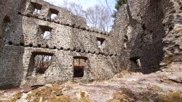 Burgruine Freudenkoppe, © Touristik GmbH Gerolsteiner Land, Ute Klinkhammer