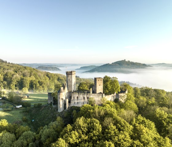 Kasteel Kasselburg in Pelm torent majestueus uit boven groene bossen, omgeven door ochtendmist en glooiende heuvels onder een strakblauwe hemel., © Eifel Tourismus GmbH, Dominik Ketz