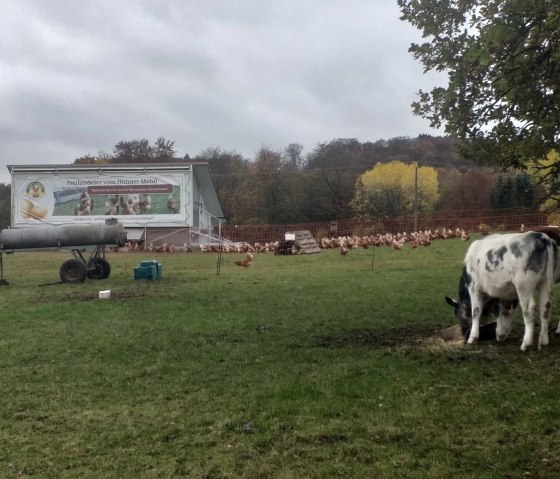 Meyerhof Au&szlig;engel&auml;nde (2), &copy; Herr Meyer