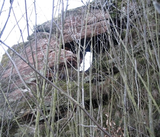 Fels in Lissendorf, &copy; Gertrud Wieser