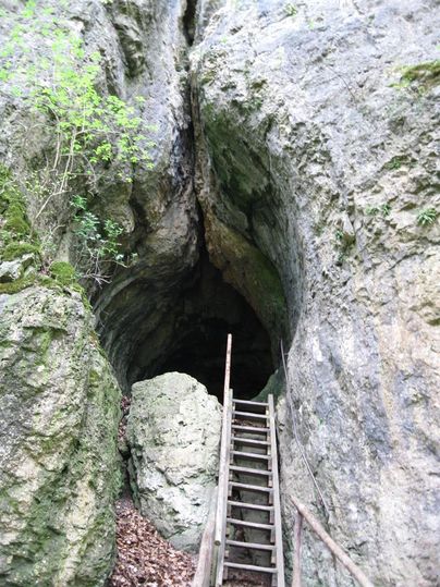 Eine natürliche Steinöffnung mit einer Holztreppe, die in die Höhle führt. Grüne Pflanzen wachsen an den Wänden der Felsformation.