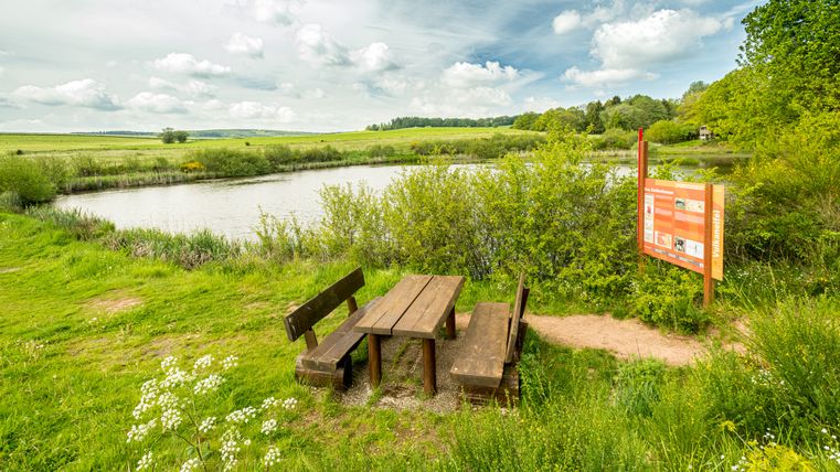 Das Eichholzmaar liegt mitten in der grünen landshcfat. Davor steht eine Sitzbank mit Tisch. Daneben stellt eine orangene Tafel Informationen über das Naturhighlight dar.