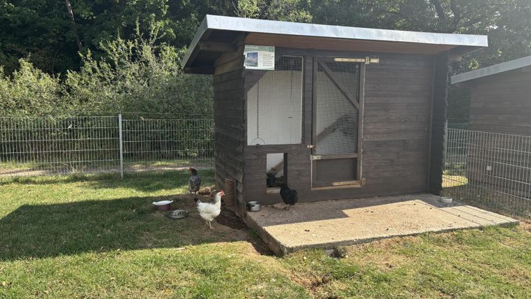 Ein Hühnerhaus aus Holz steht in einem grünen Garten. Einige Hühner sind in der Nähe und der Bereich ist von einem Zaun umgeben.