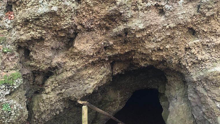 Eingang zur Martins-Höhle in Hohenfels-Essingen, umgeben von Herbstlaub.