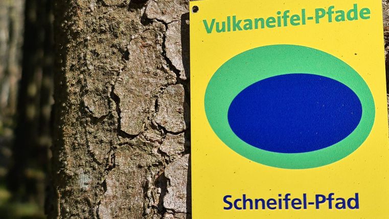 Un panneau de signalisation pour le sentier Schneifel dans la Vulkaneifel. Il présente les couleurs jaune et bleu sur un fond en bois.