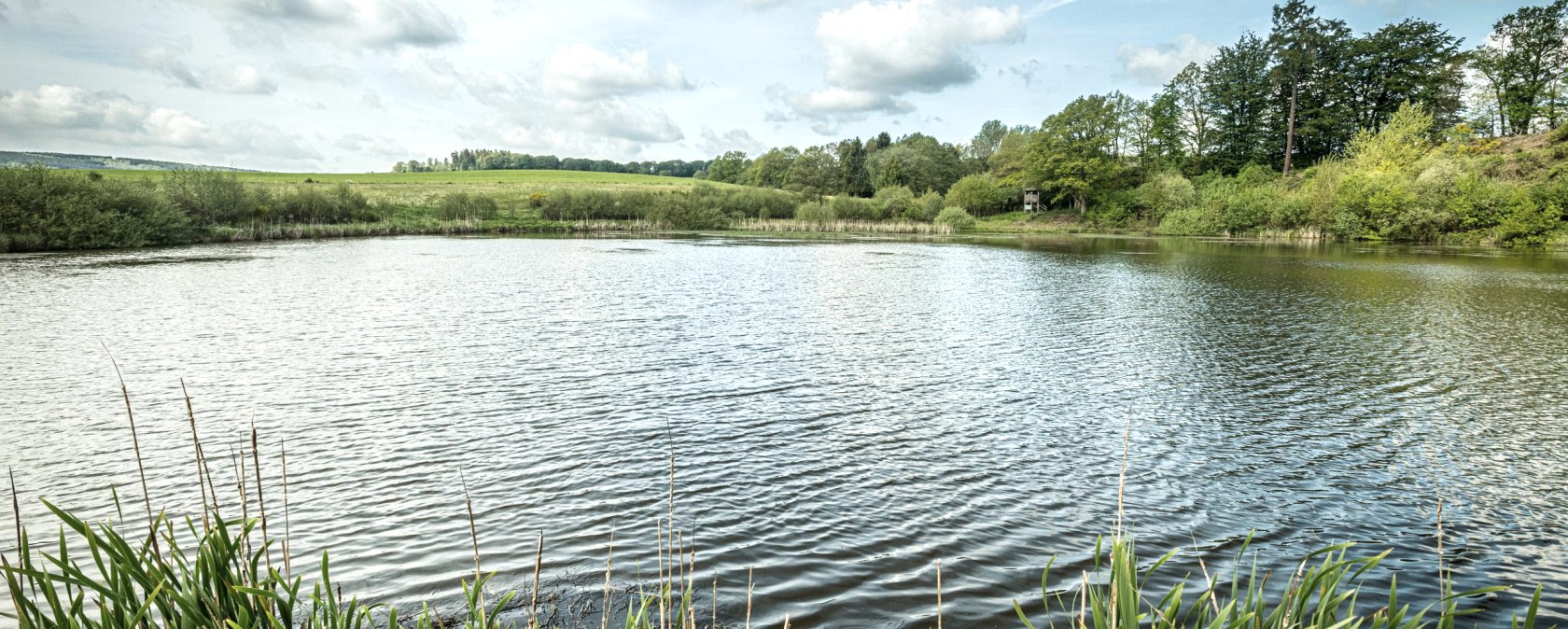 Eichholzmaar (2), © Eifel Tourismus GmbH, Dominik Ketz